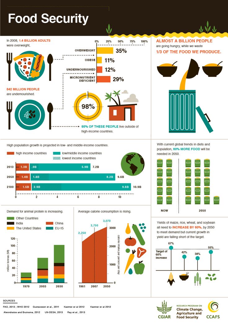 BEYOND JUST FOOD SECURITY