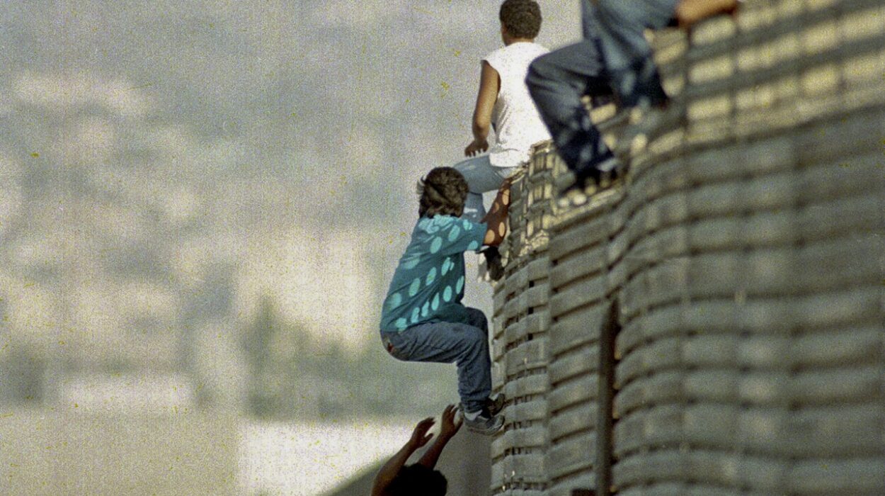 immigration-secure-border