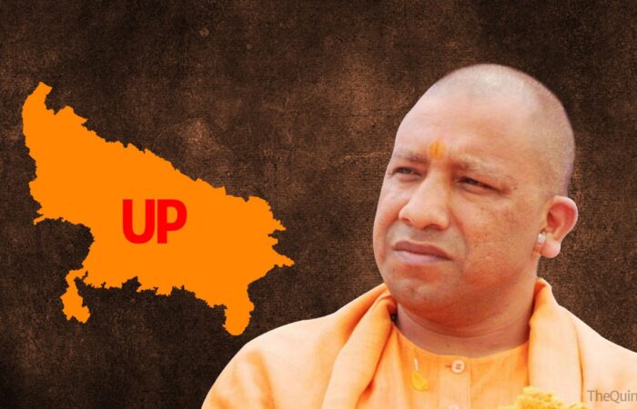 yogi