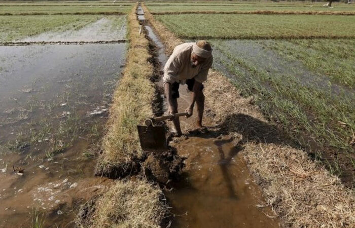 irrigation_reuters