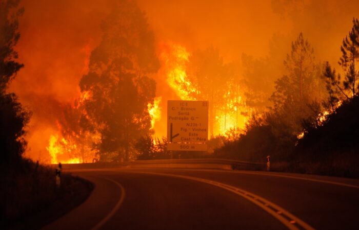 la-fg-portugal-forest-fires-20170617