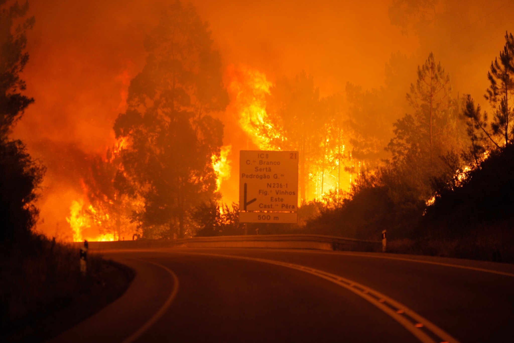 la-fg-portugal-forest-fires-20170617