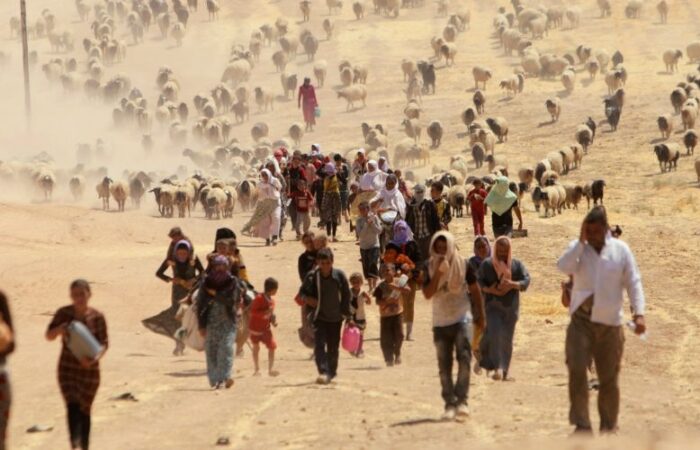 refugees