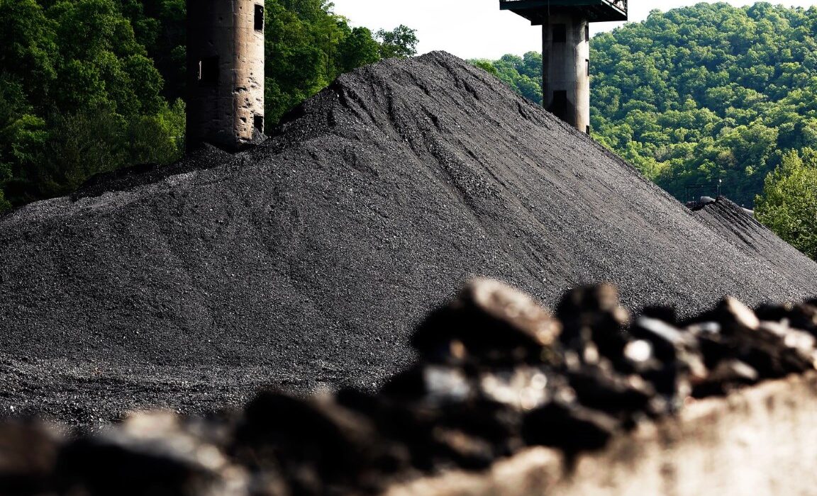 image-20160817-3592-kglt6