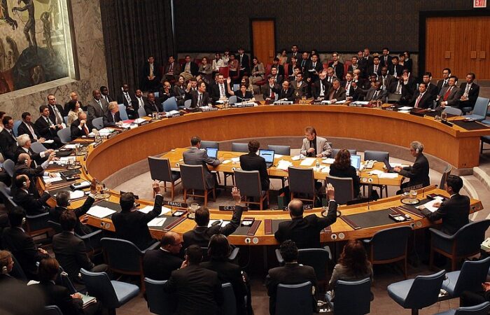 un-security-council_t800