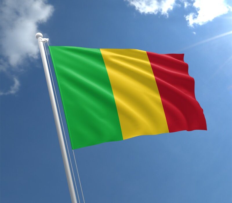 mali-flag-std_1