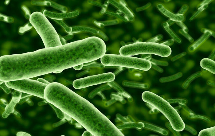 superbug-antibiotic