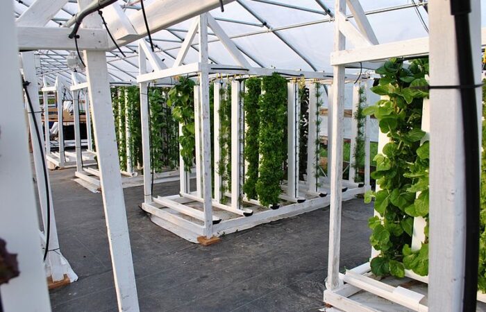 Hydroponic_vertical_farm