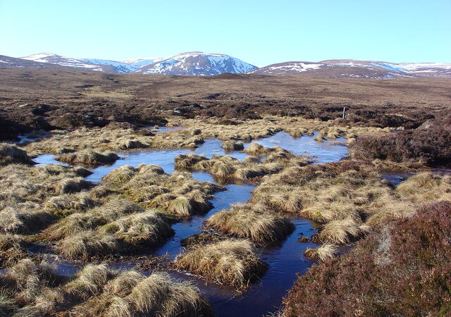 Wet_peat_land_-_geograph