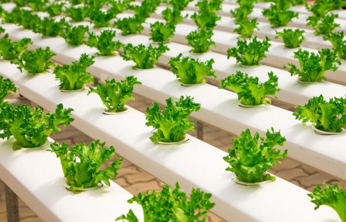 agritech-singapore