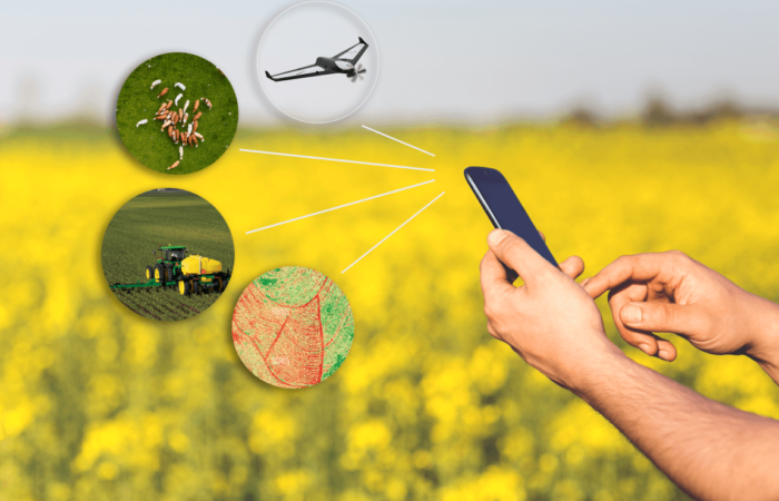 Agriculture