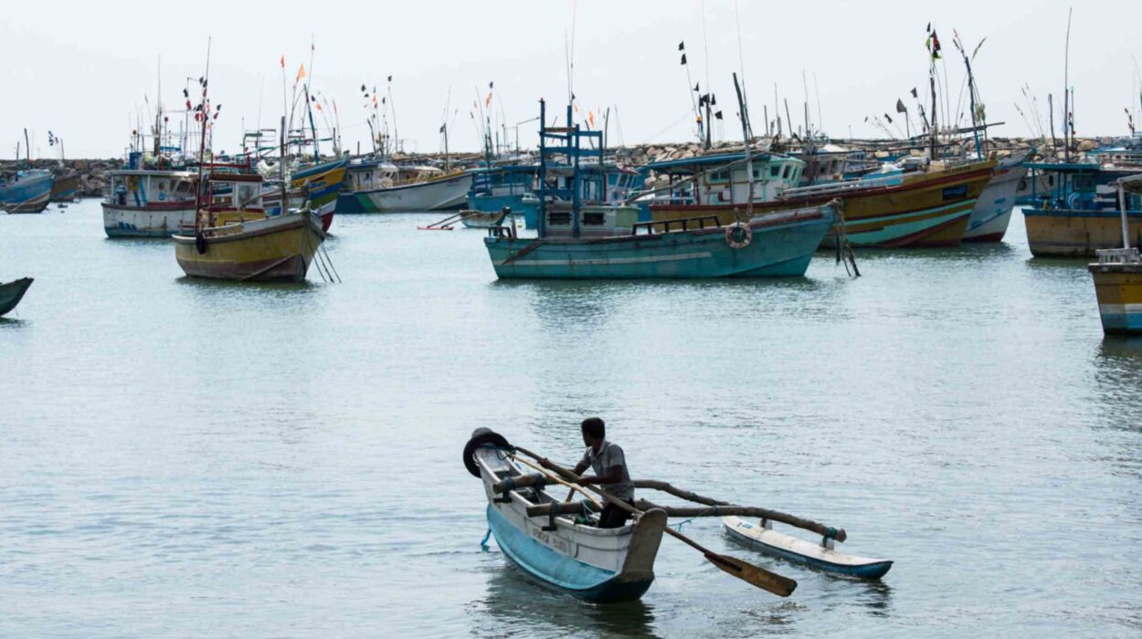 Sri-Lanka-87A0634_Niwella-Harbour_IFAD-John-Rae