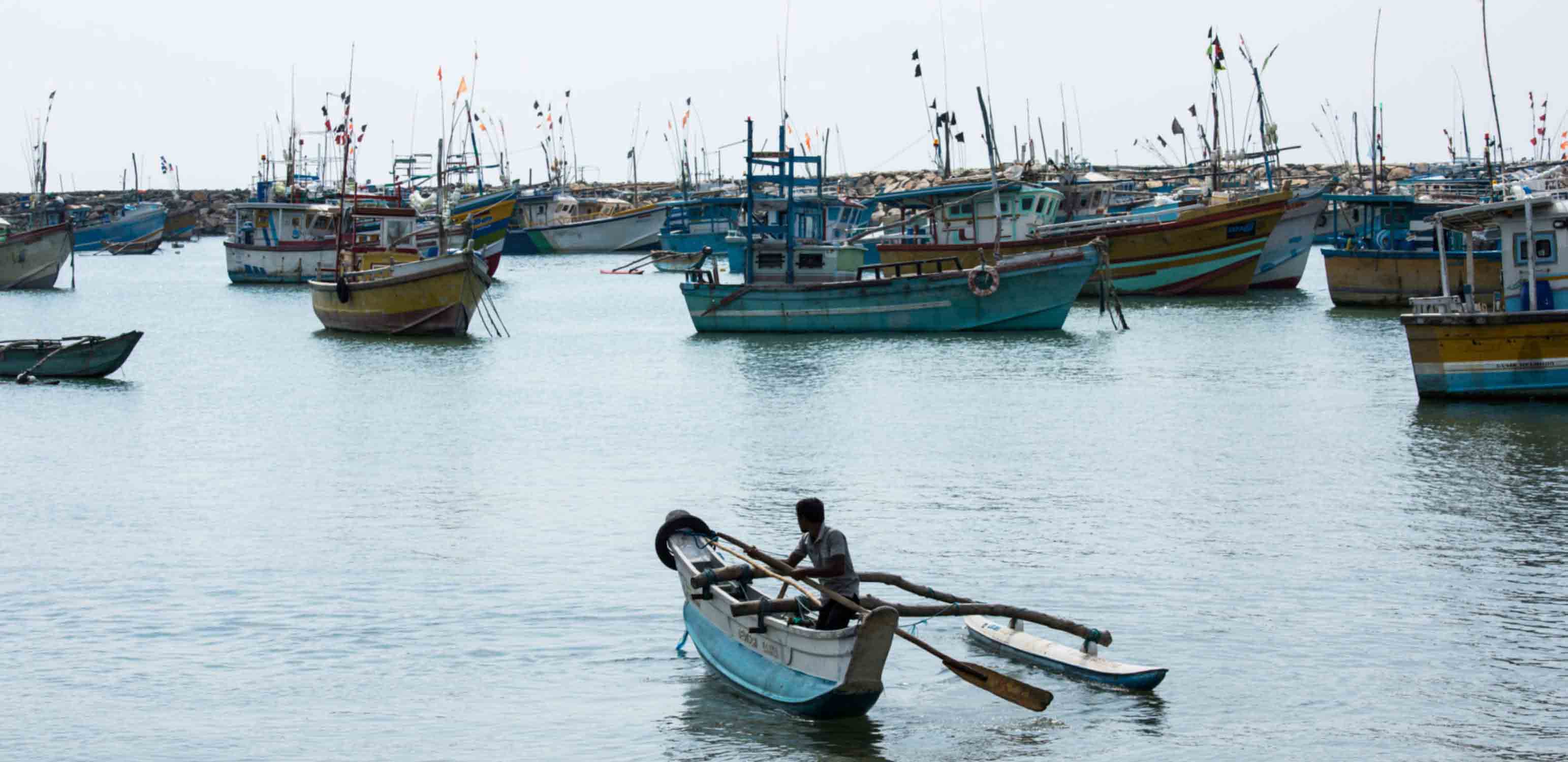 Sri-Lanka-87A0634_Niwella-Harbour_IFAD-John-Rae
