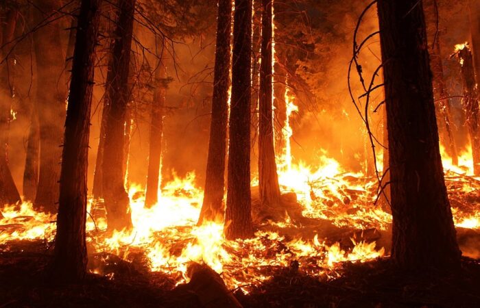 wildfire-1105209_960_720