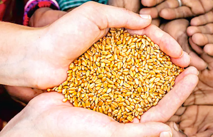 https://www.nationalgeographic.com/foodfeatures/hunger/