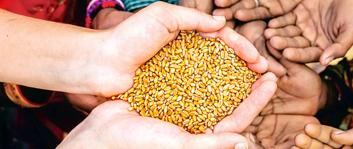 https://www.nationalgeographic.com/foodfeatures/hunger/
