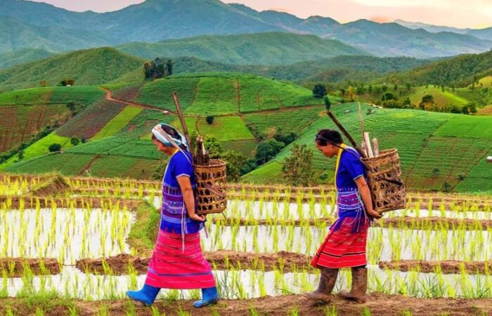 Indigenous Solutions to Climate Change