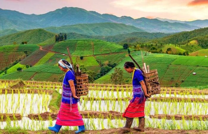 Indigenous Solutions to Climate Change