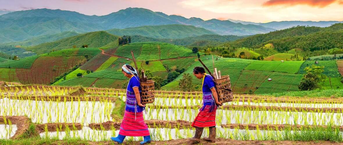 Indigenous Solutions to Climate Change