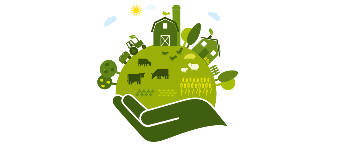 Environmental Justice