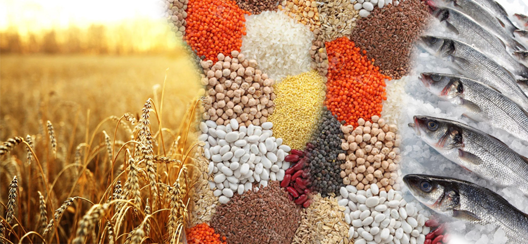 BEYOND JUST FOOD SECURITY