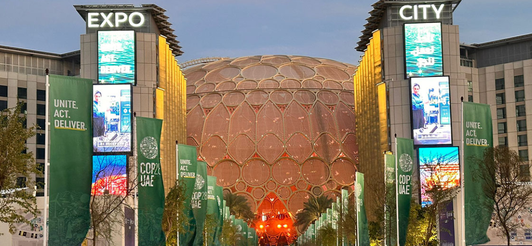 COP28: Navigating Progress and Challenges