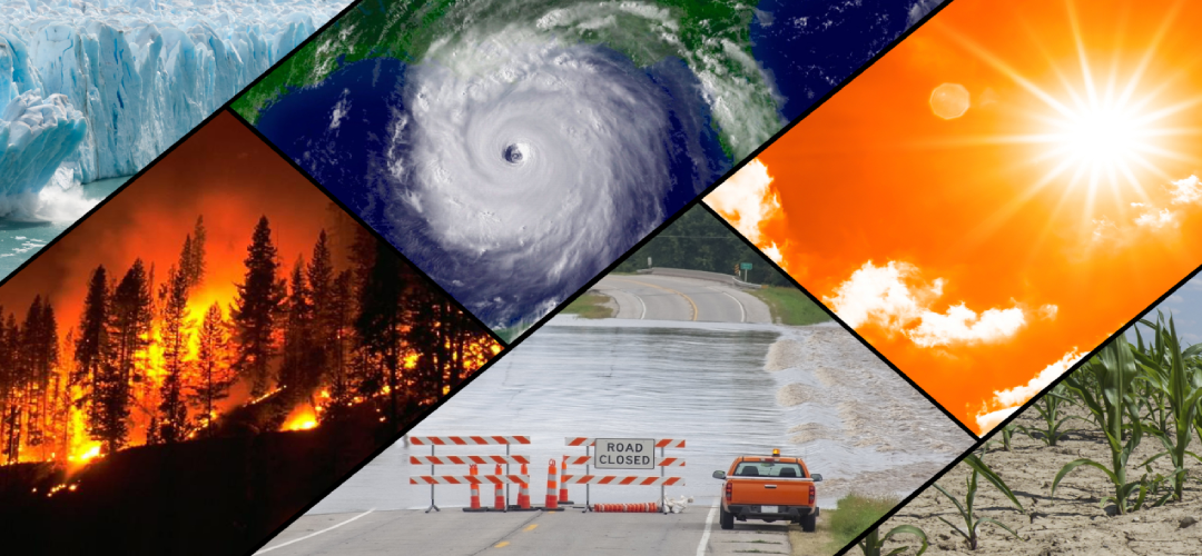Our Climate Crimes Are Biting Us